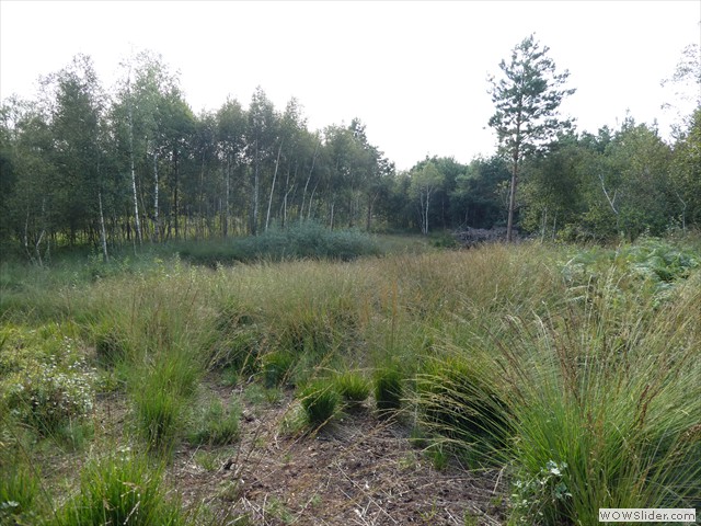 P1010152