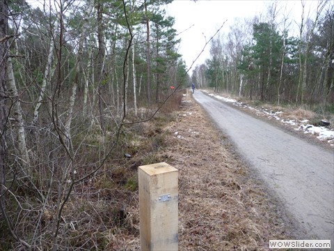 P1150103